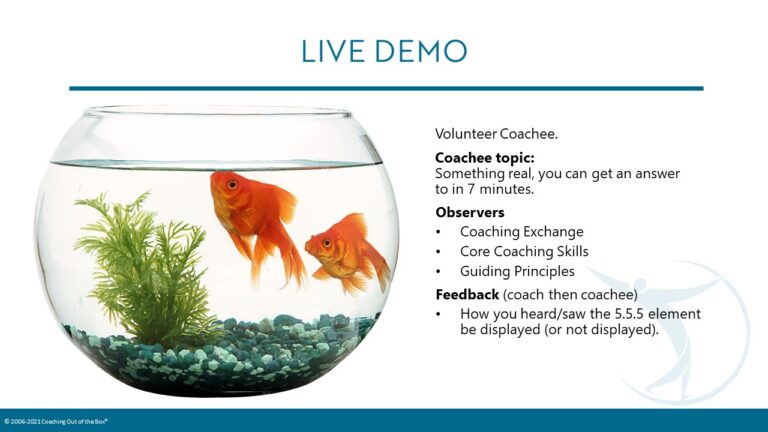 Slide144